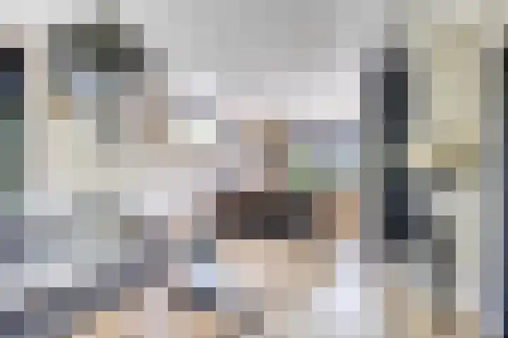 Eelke Meinertswei 34 Westergeast thumbnail 18