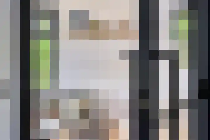 Eelke Meinertswei 34 Westergeast thumbnail 20