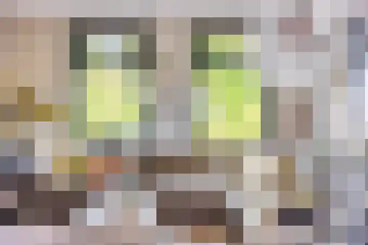 Eelke Meinertswei 34 Westergeast thumbnail 21