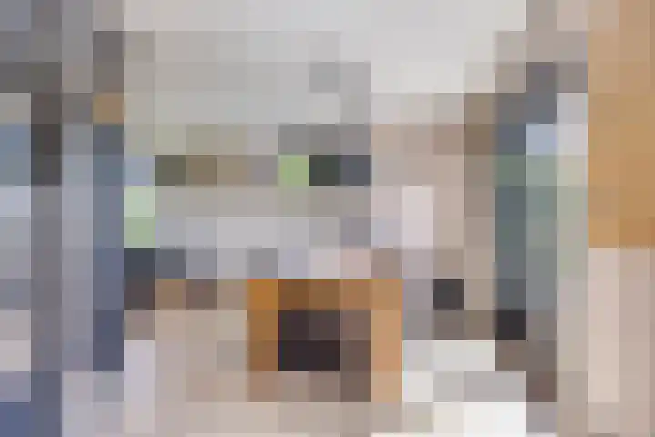 Eelke Meinertswei 34 Westergeast thumbnail 23