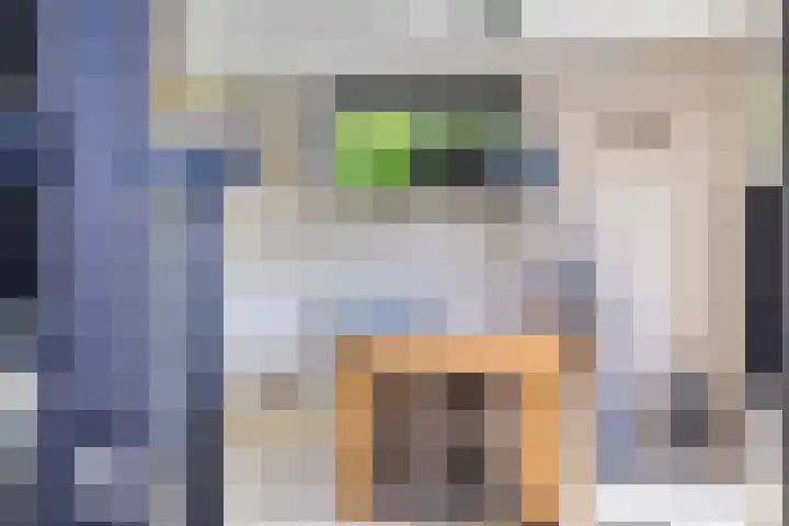 Eelke Meinertswei 34 Westergeast thumbnail 24