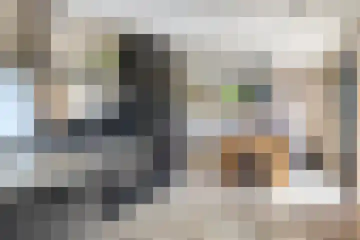 Eelke Meinertswei 34 Westergeast thumbnail 28