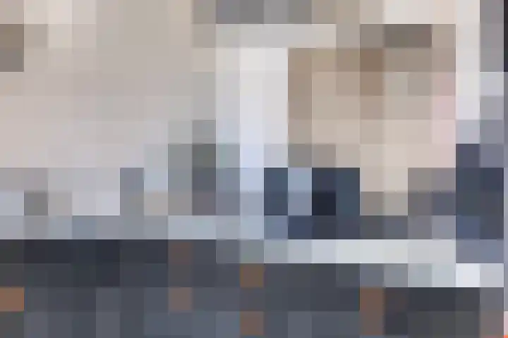 Eelke Meinertswei 34 Westergeast thumbnail 29