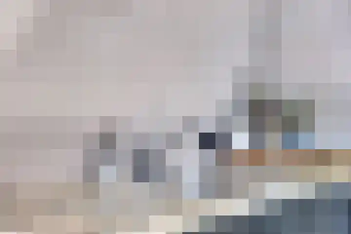 Eelke Meinertswei 34 Westergeast thumbnail 30