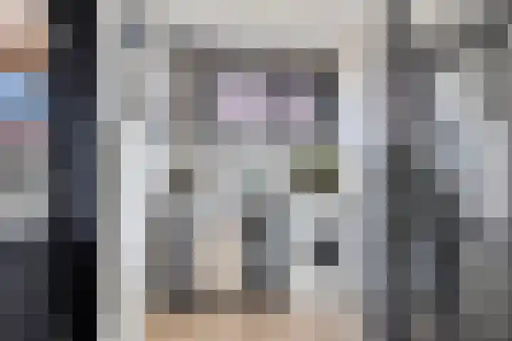 Eelke Meinertswei 34 Westergeast thumbnail 32