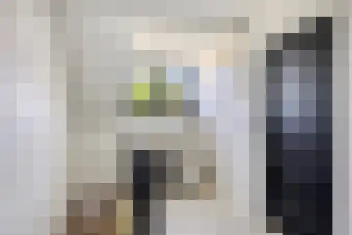 Eelke Meinertswei 34 Westergeast thumbnail 33
