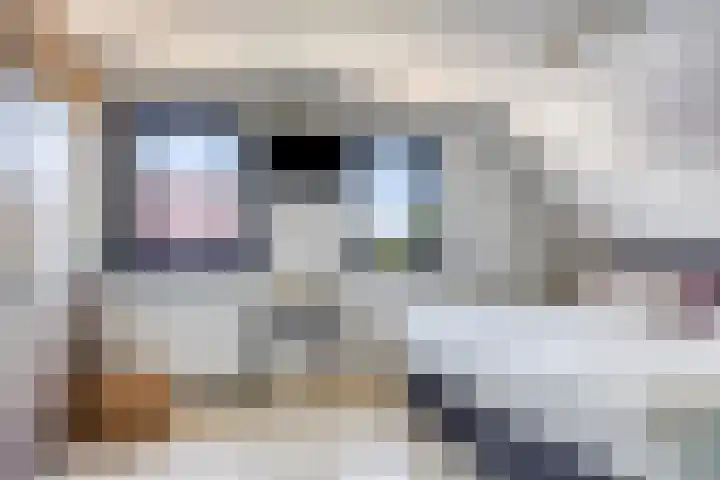 Eelke Meinertswei 34 Westergeast thumbnail 35