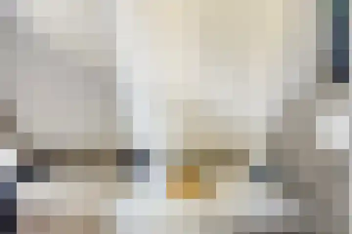 Eelke Meinertswei 34 Westergeast thumbnail 39