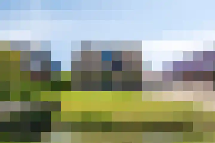 Eelke Meinertswei 34 Westergeast thumbnail 4