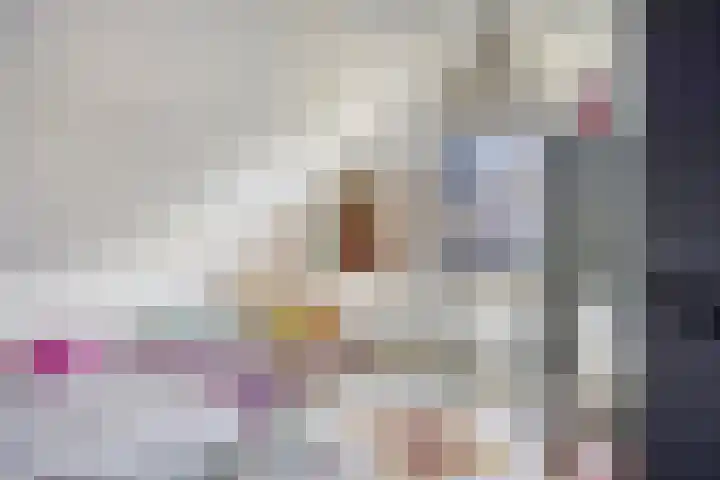 Eelke Meinertswei 34 Westergeast thumbnail 41