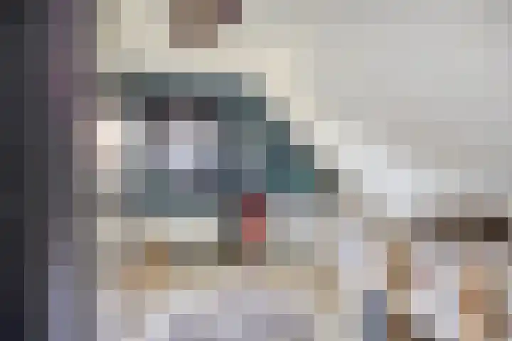 Eelke Meinertswei 34 Westergeast thumbnail 43