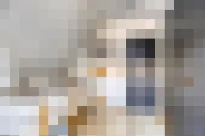 Eelke Meinertswei 34 Westergeast thumbnail 44