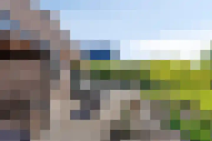 Eelke Meinertswei 34 Westergeast thumbnail 47