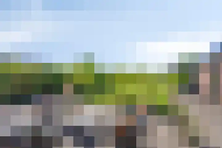 Eelke Meinertswei 34 Westergeast thumbnail 48