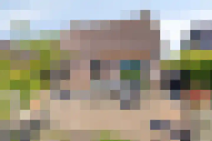 Eelke Meinertswei 34 Westergeast thumbnail 49