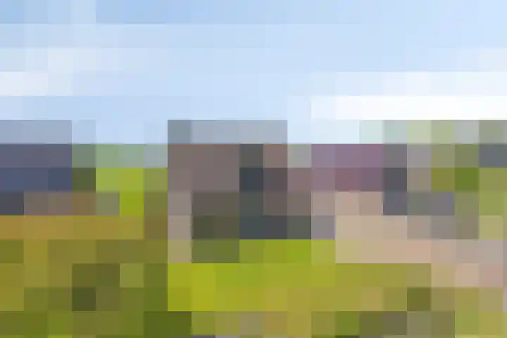 Eelke Meinertswei 34 Westergeast thumbnail 5