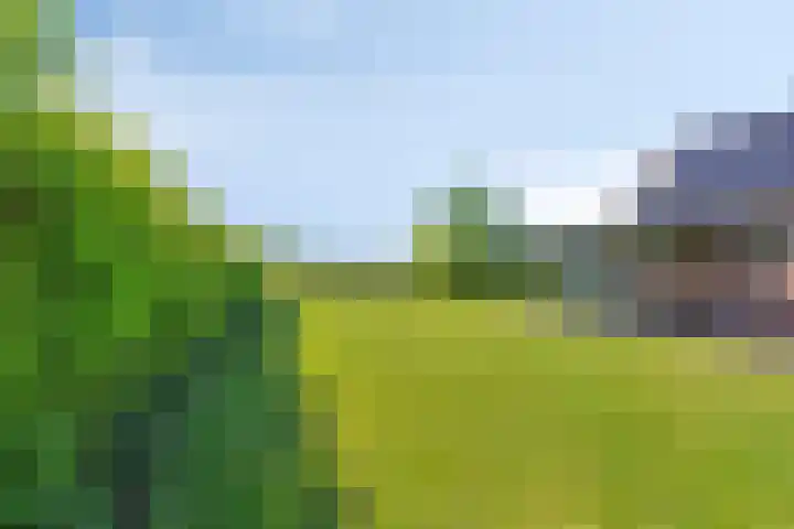 Eelke Meinertswei 34 Westergeast thumbnail 51