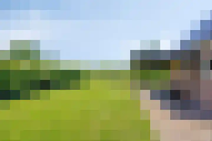 Eelke Meinertswei 34 Westergeast thumbnail 52