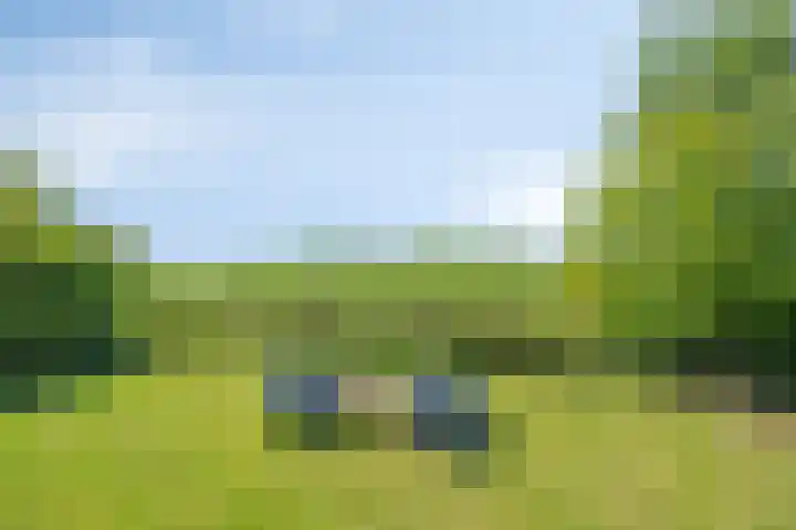 Eelke Meinertswei 34 Westergeast thumbnail 55