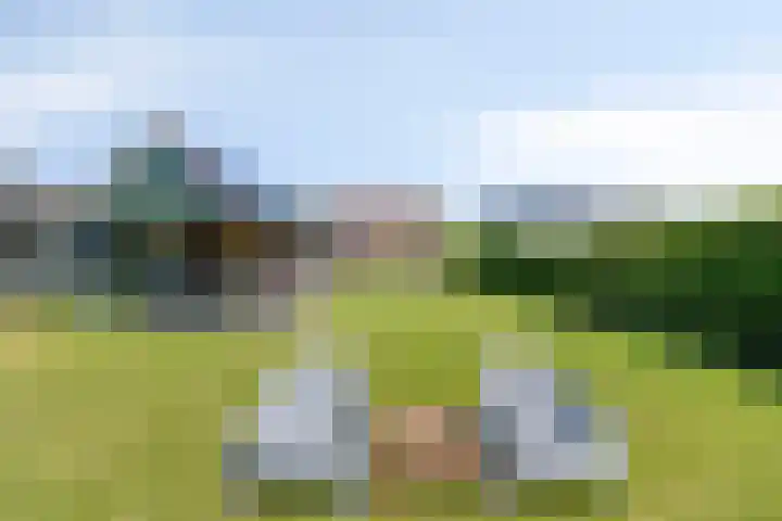 Eelke Meinertswei 34 Westergeast thumbnail 56