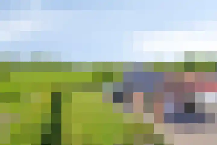Eelke Meinertswei 34 Westergeast thumbnail 57