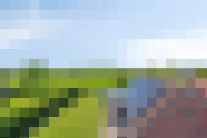 Eelke Meinertswei 34 Westergeast thumbnail 58