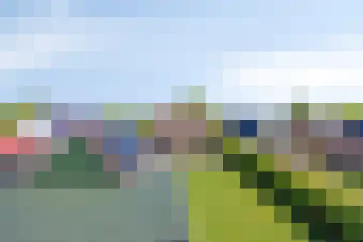 Eelke Meinertswei 34 Westergeast thumbnail 59