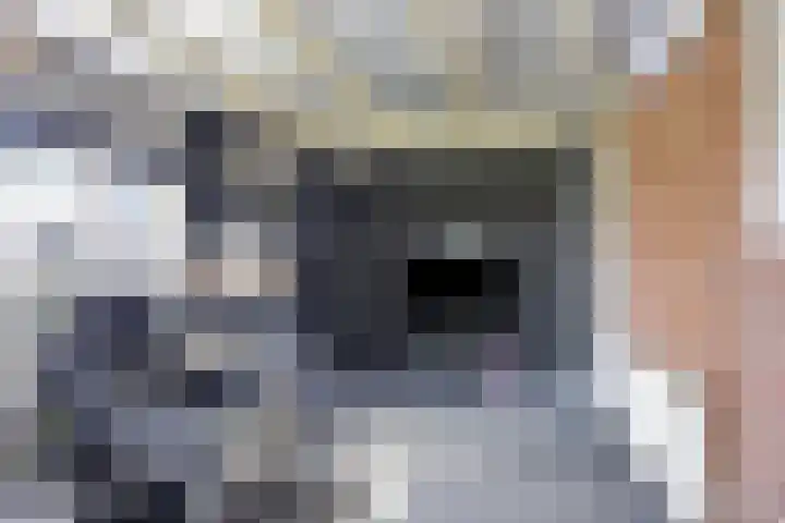 Eelke Meinertswei 34 Westergeast thumbnail 62