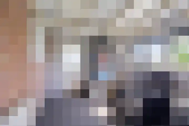Eelke Meinertswei 34 Westergeast thumbnail 63