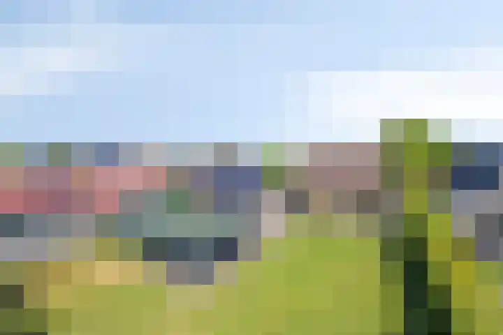 Eelke Meinertswei 34 Westergeast thumbnail 64