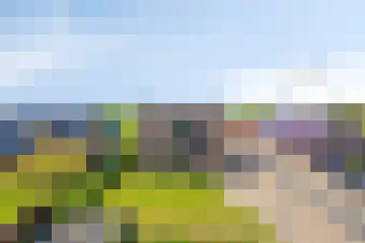 Eelke Meinertswei 34 Westergeast thumbnail 65