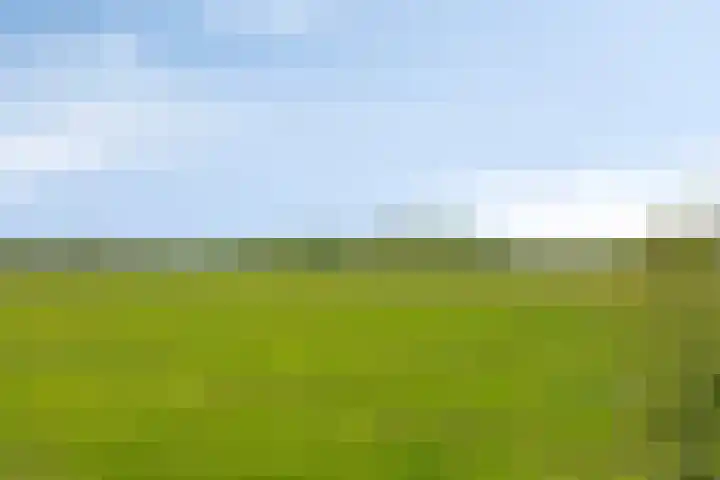 Eelke Meinertswei 34 Westergeast thumbnail 66