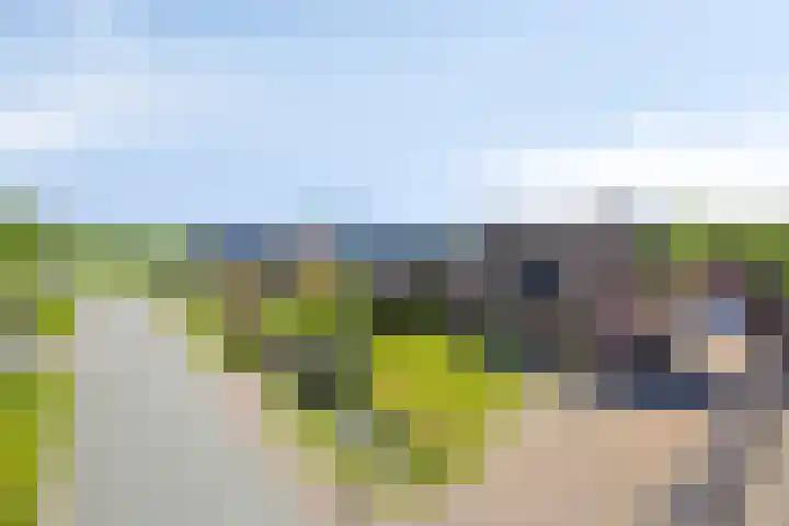 Eelke Meinertswei 34 Westergeast thumbnail 68