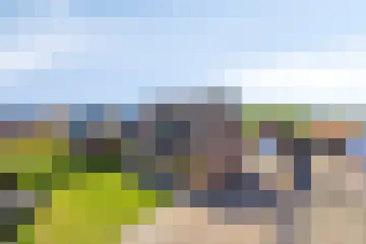 Eelke Meinertswei 34 Westergeast thumbnail 69