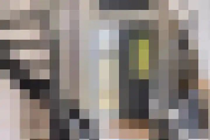 Eelke Meinertswei 34 Westergeast thumbnail 7