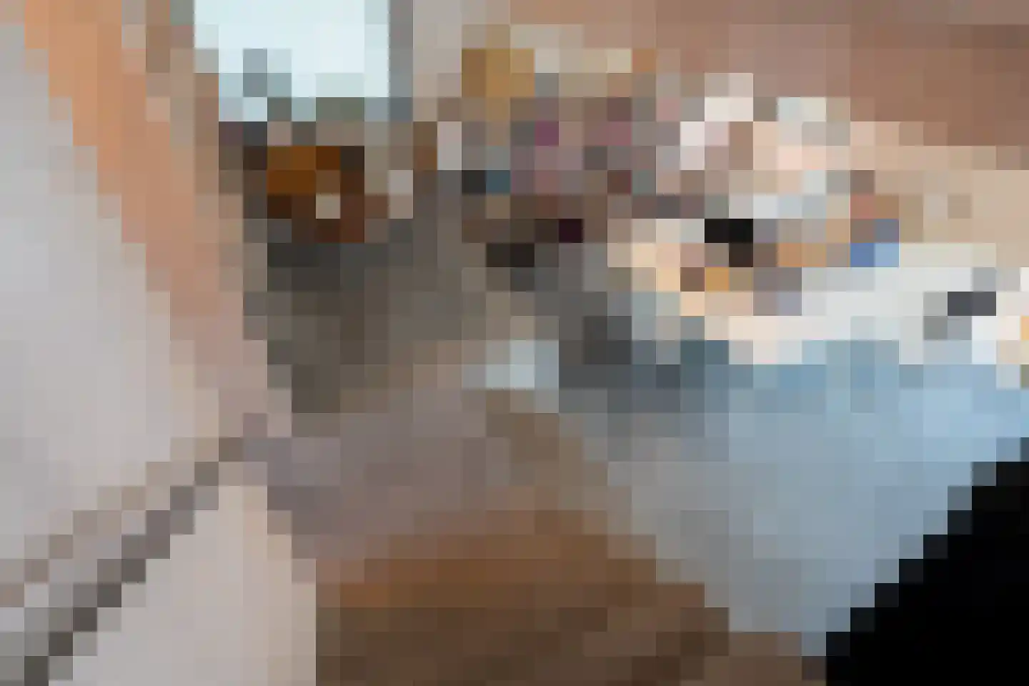 Eelkemastraat 13 Groningen thumbnail 18