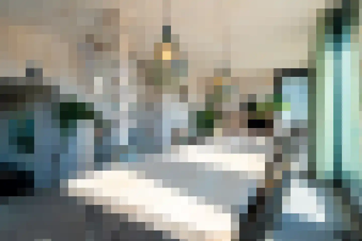 Eelkemastraat 13 Groningen thumbnail 27