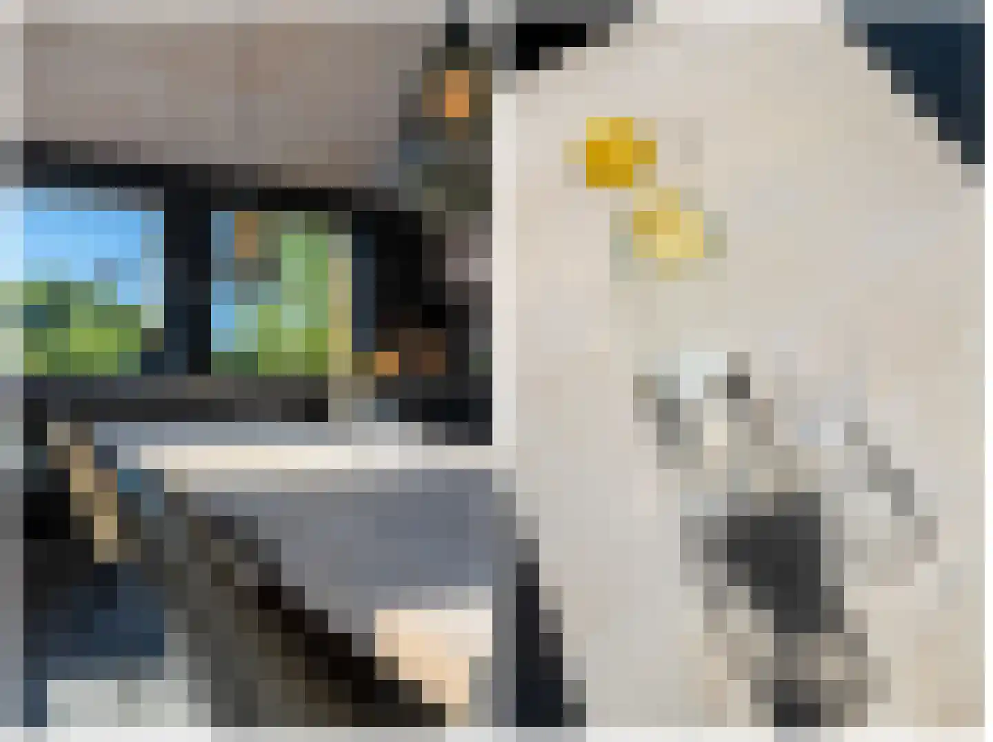 Eelkemastraat 13 Groningen thumbnail 32