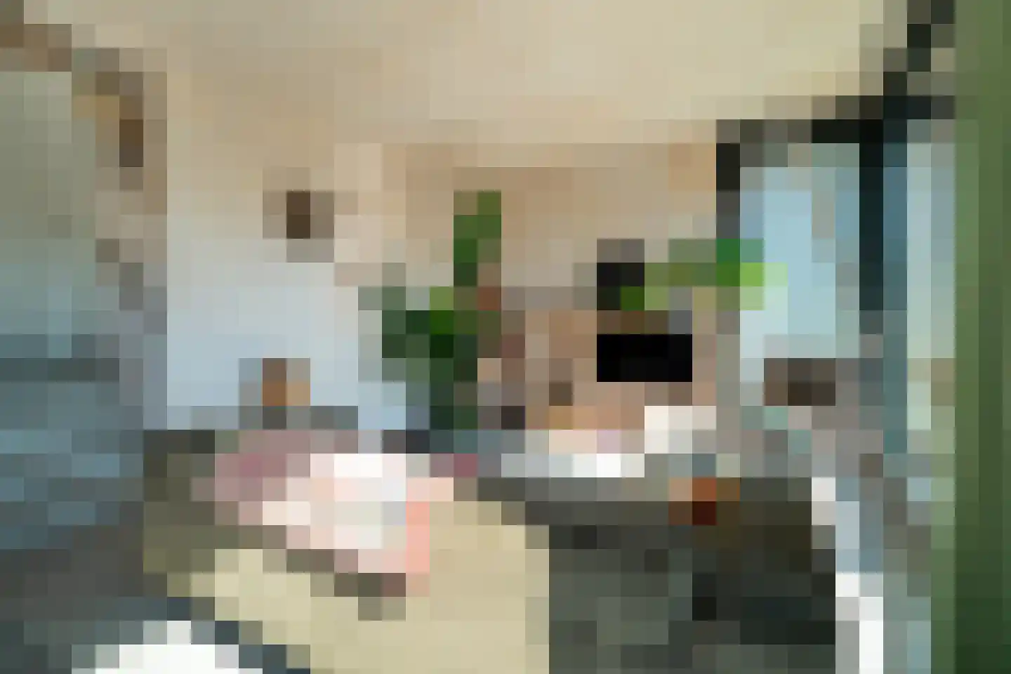 Eelkemastraat 13 Groningen thumbnail 39
