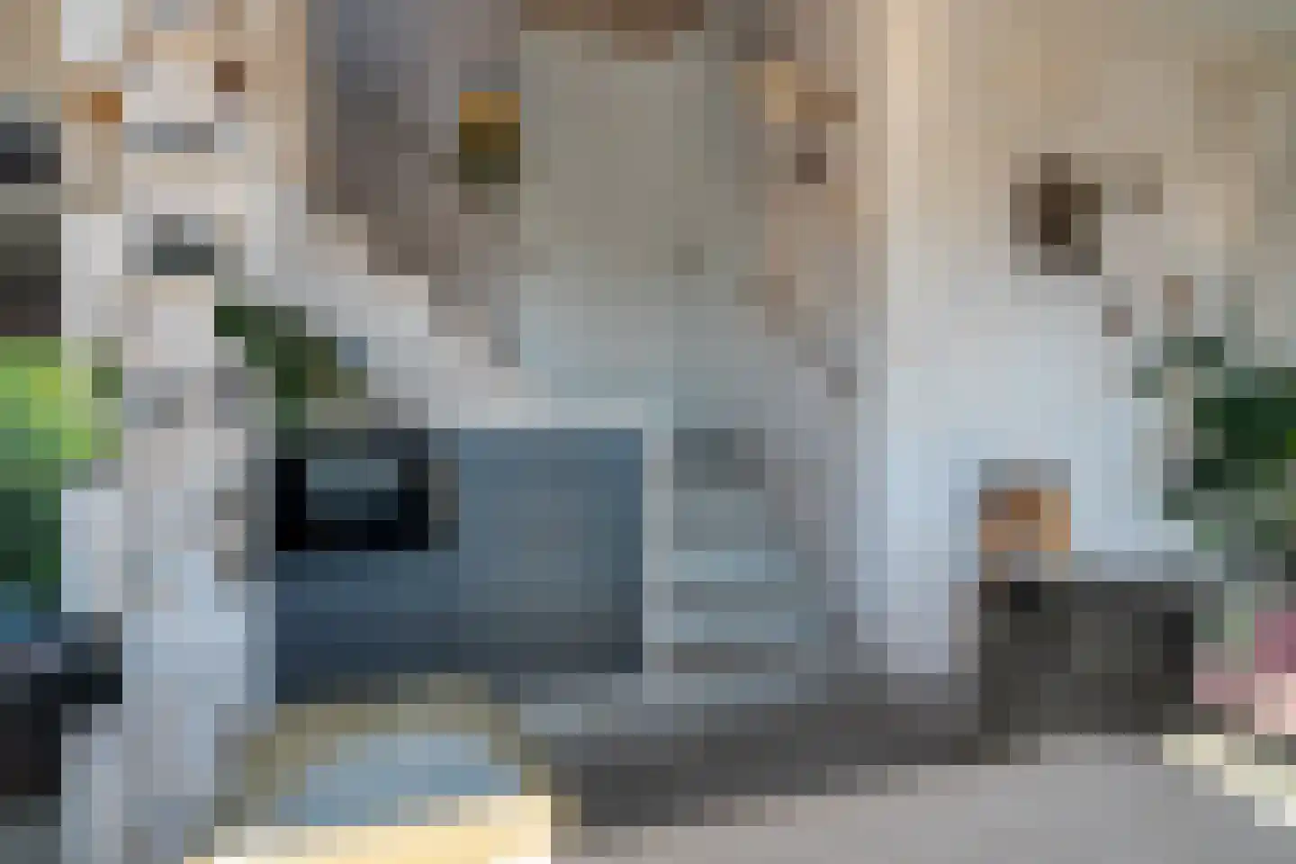Eelkemastraat 13 Groningen thumbnail 45