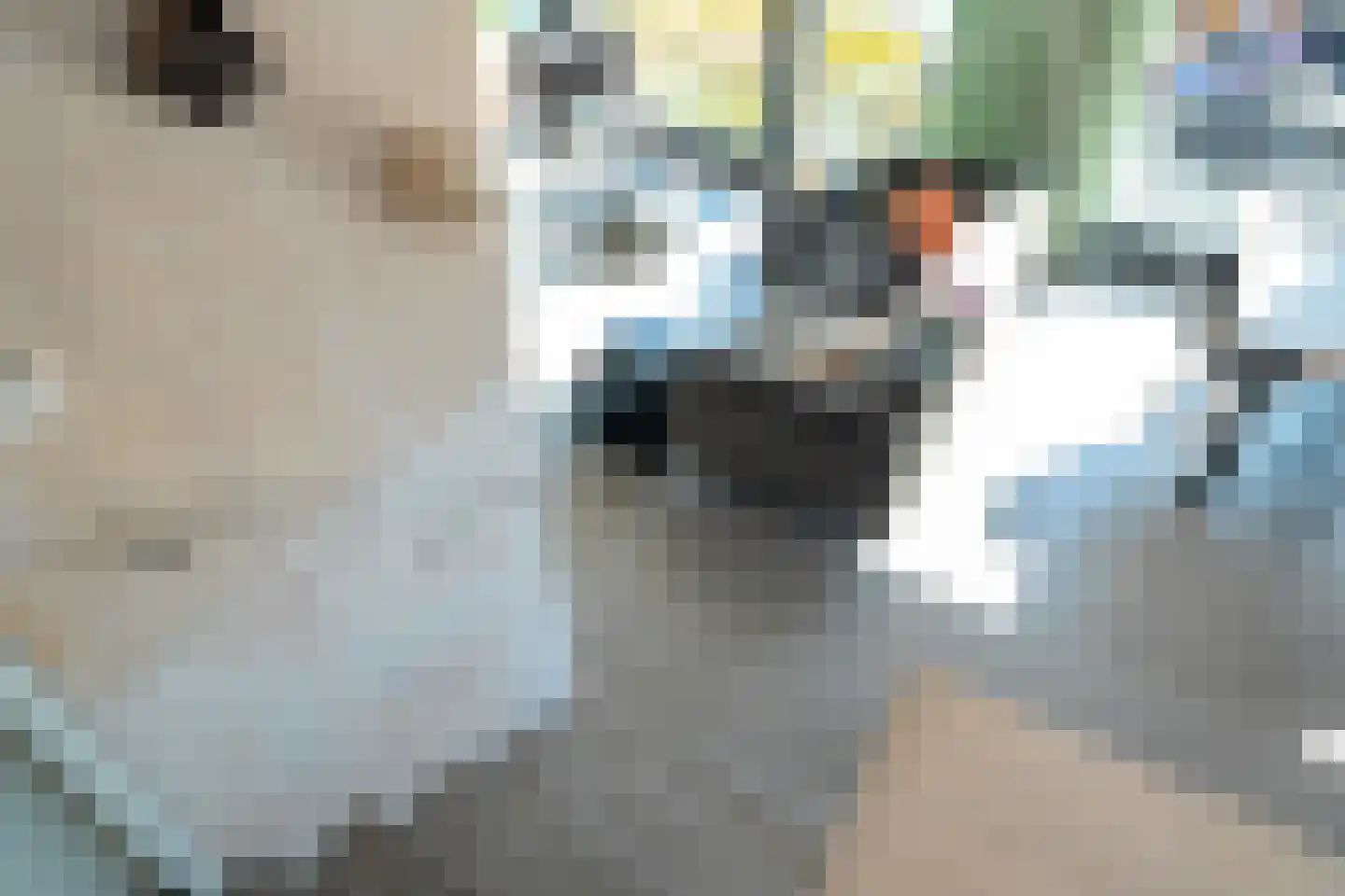 Eelkemastraat 13 Groningen thumbnail 46