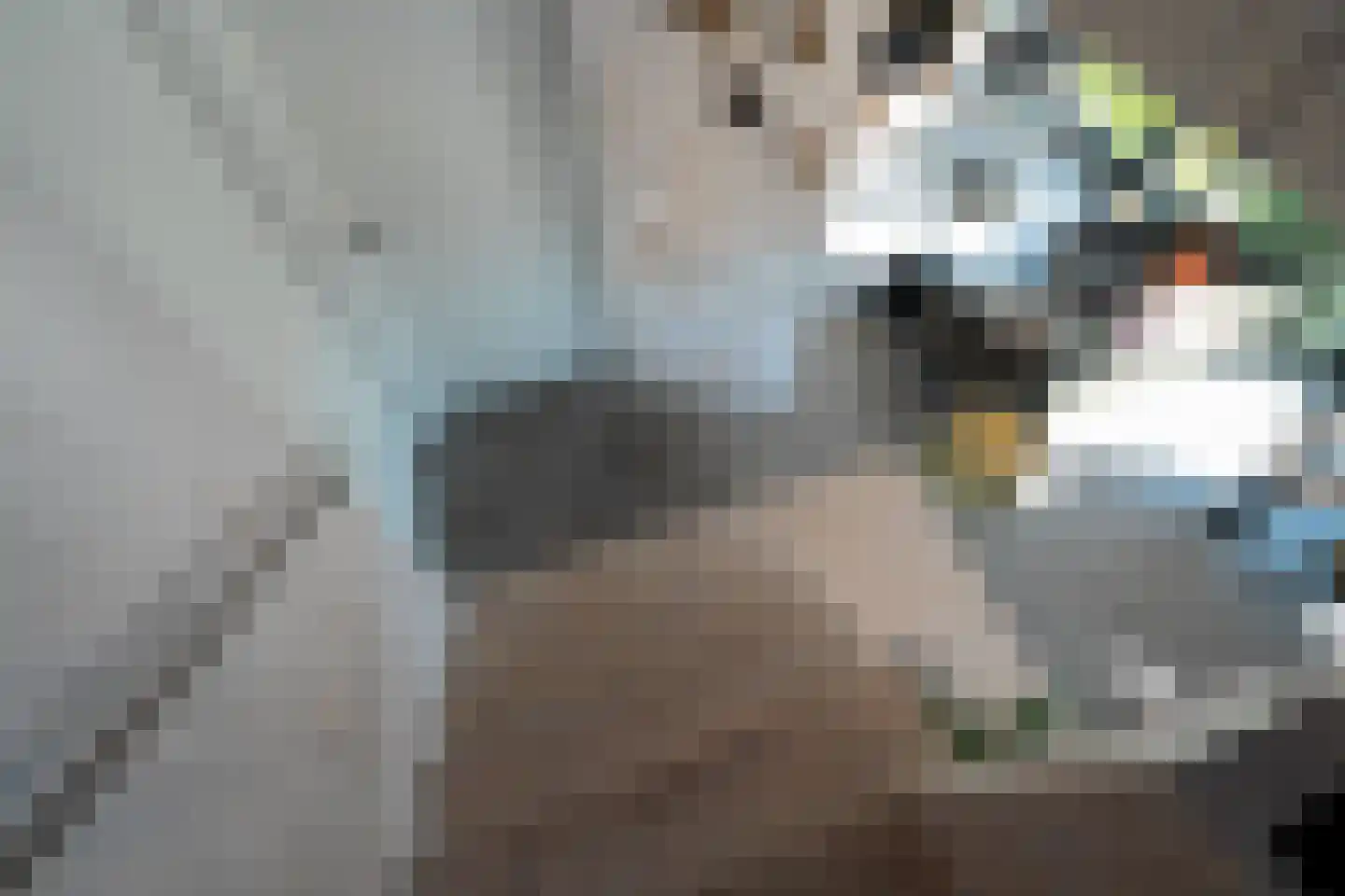 Eelkemastraat 13 Groningen thumbnail 48