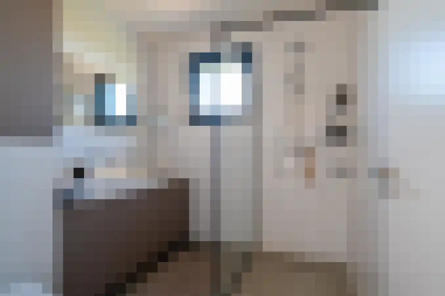 Eelkemastraat 13 Groningen thumbnail 51