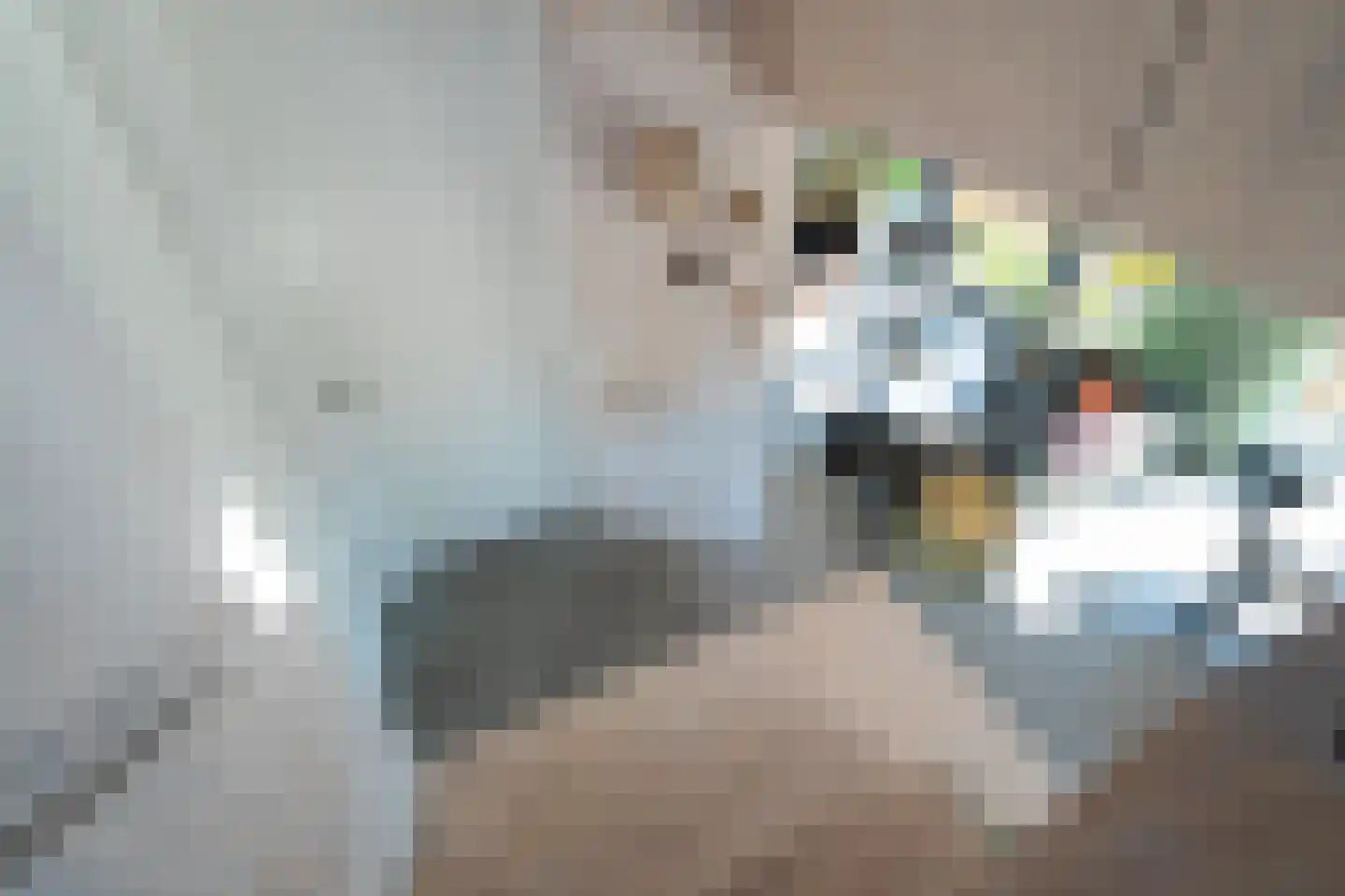 Eelkemastraat 13 Groningen thumbnail 53