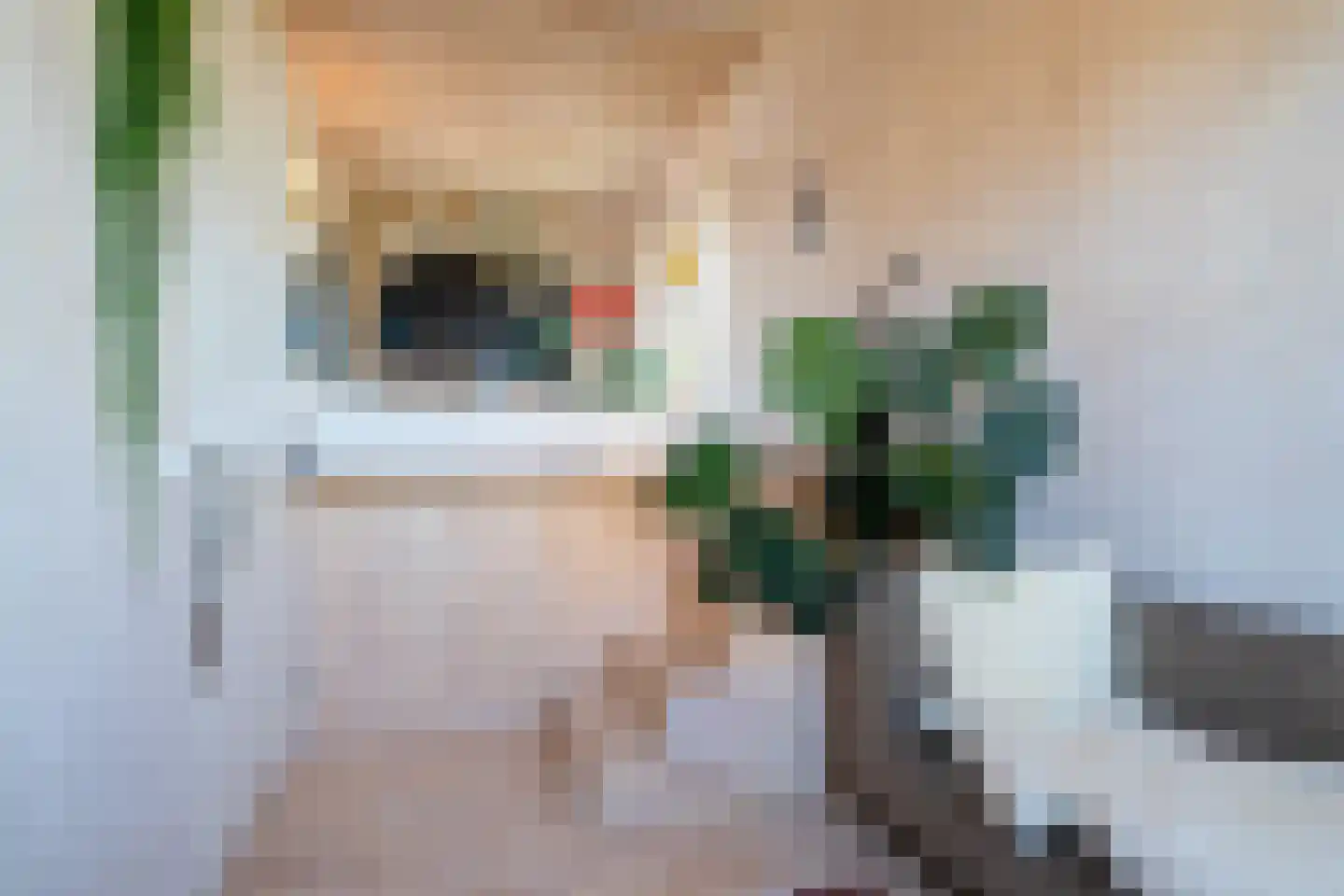 Eelkemastraat 13 Groningen thumbnail 55