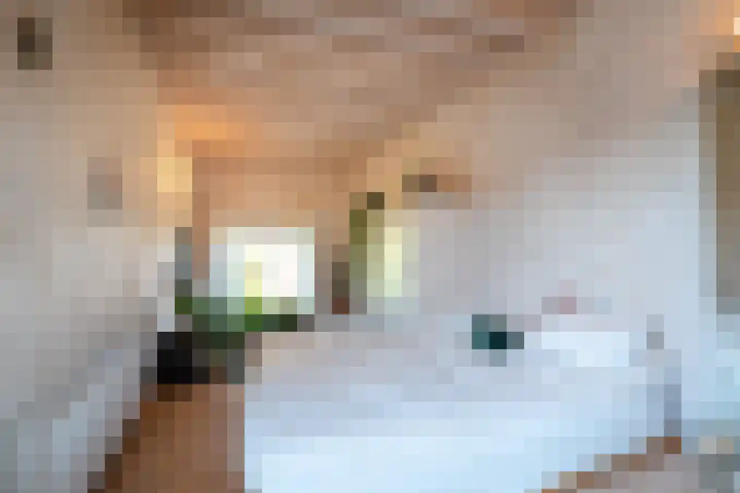Eelkemastraat 13 Groningen thumbnail 56