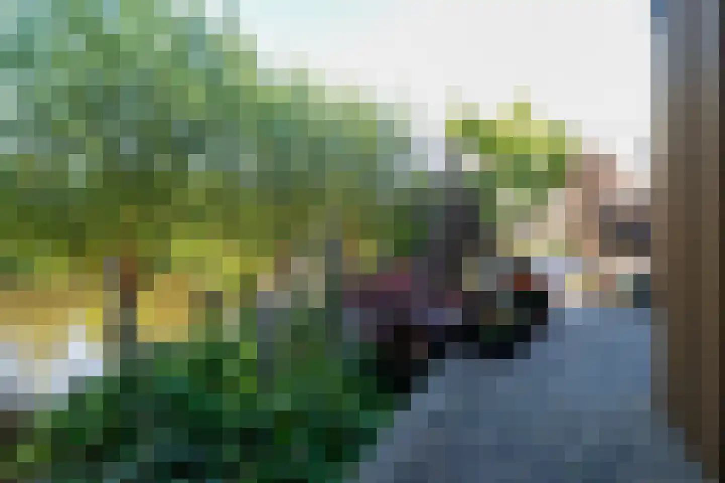 Eelkemastraat 13 Groningen thumbnail 73