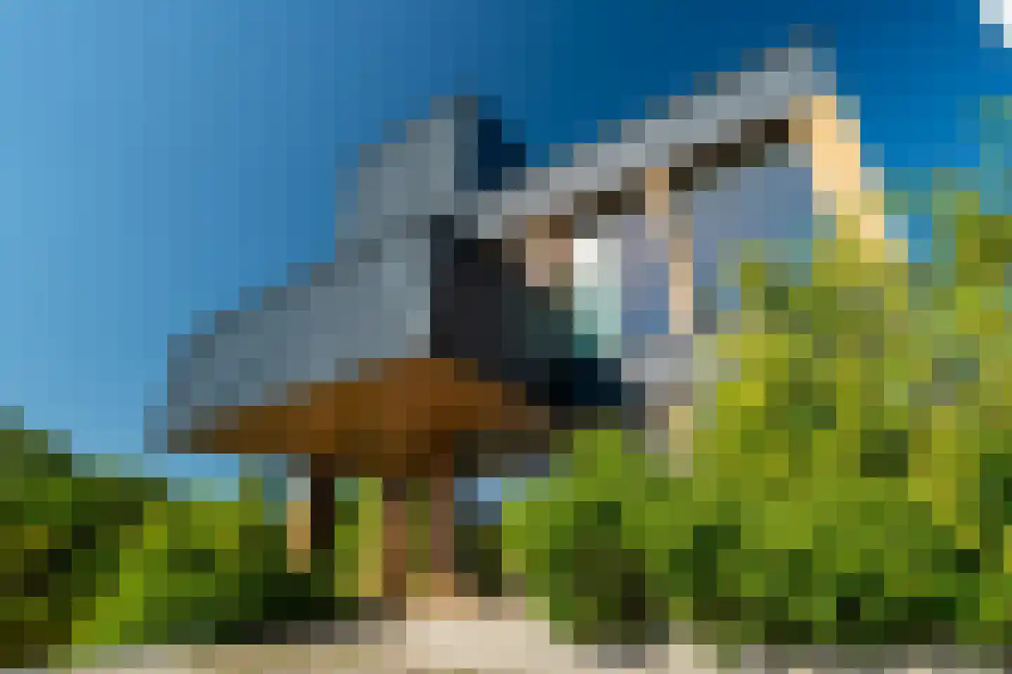 Eelkemastraat 13 Groningen thumbnail 8