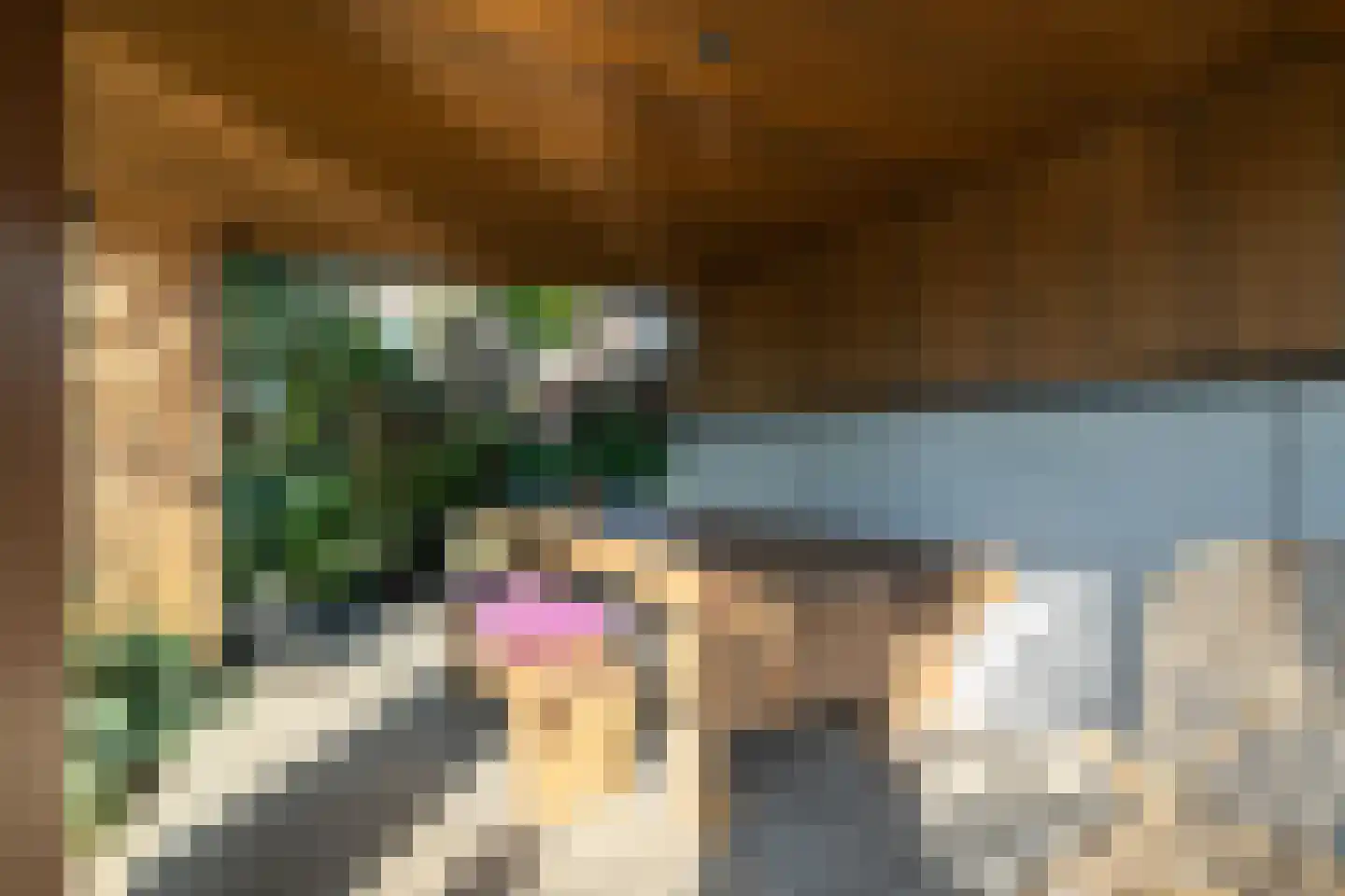 Eelkemastraat 13 Groningen thumbnail 82