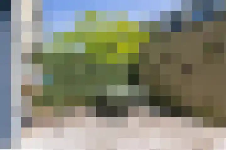 Eelkemastraat 52 Groningen thumbnail 12